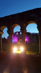 Illuminating the cloisters