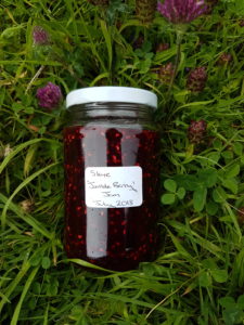 Skye Jumble Berry Jam