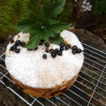 Blackcurrant and Almond Cake