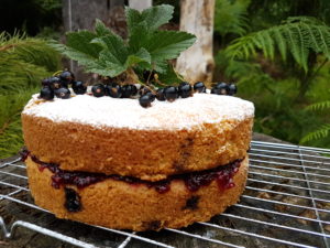 Blackcurrant and Almond Cake