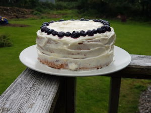 Blueberry and Lemon Cake